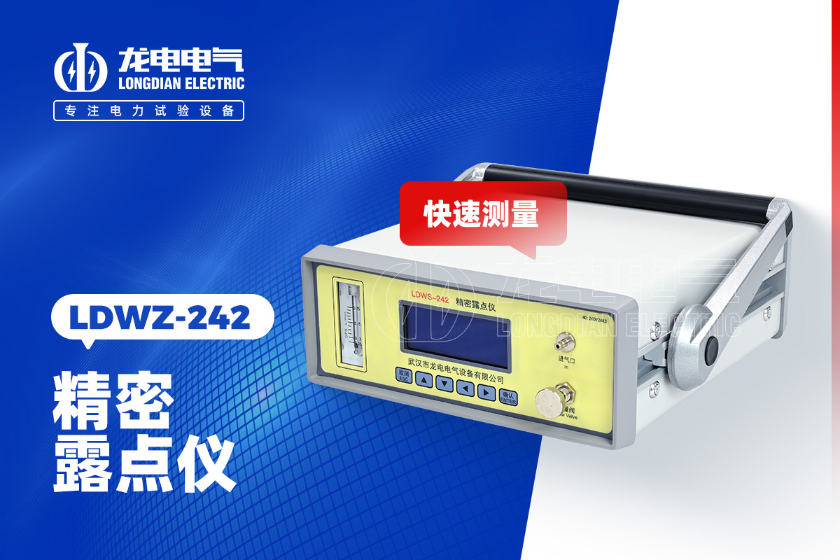 LDWS-242 精密露点仪