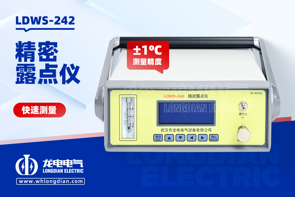 LDWS-242 精密露点仪