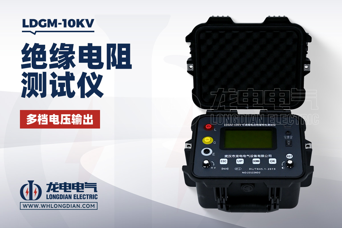 LDGM-10KV 绝缘电阻测试仪