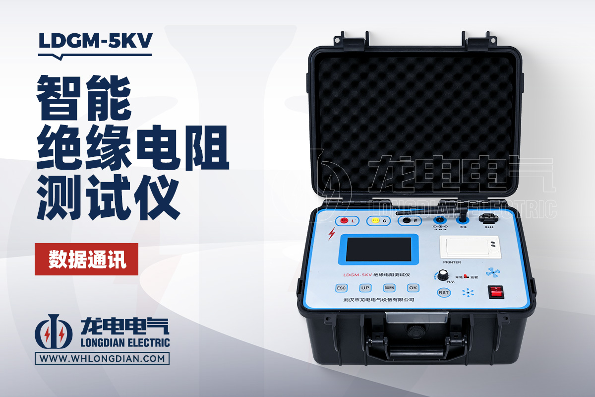 LDGM-5KV 绝缘电阻测试仪