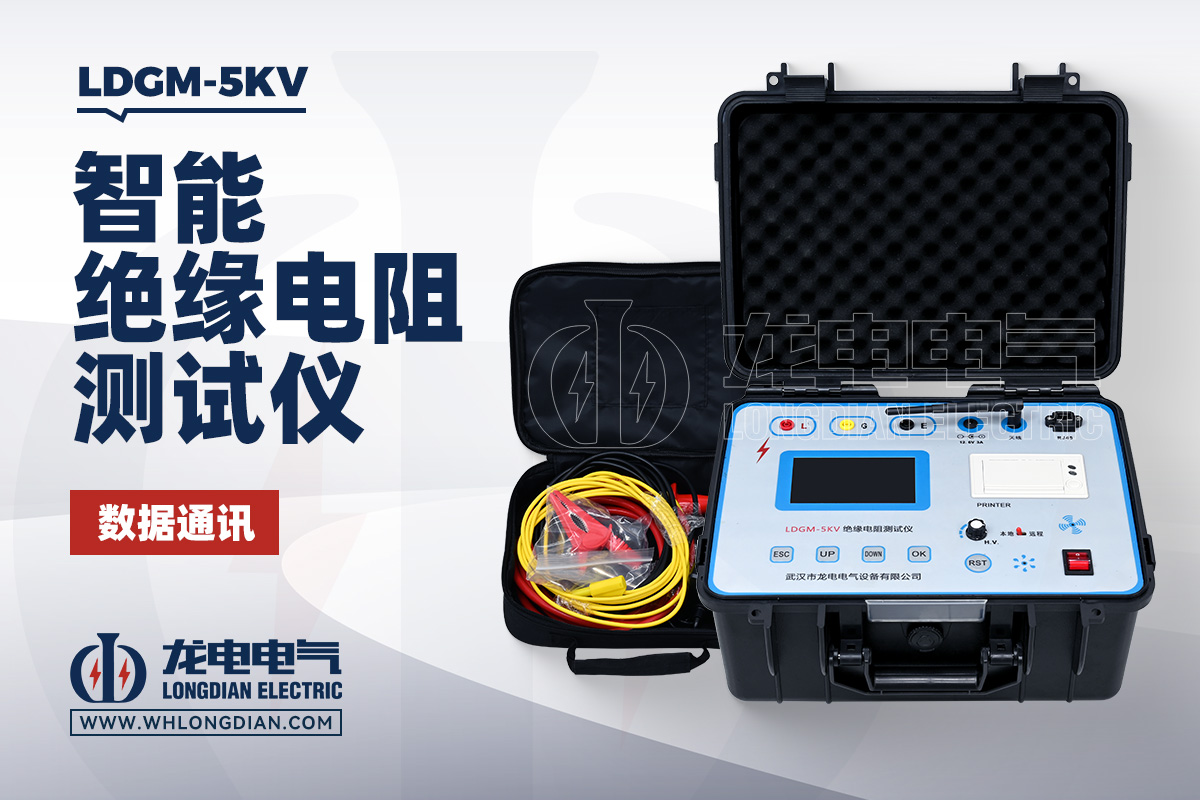 LDGM-5KV 绝缘电阻测试仪