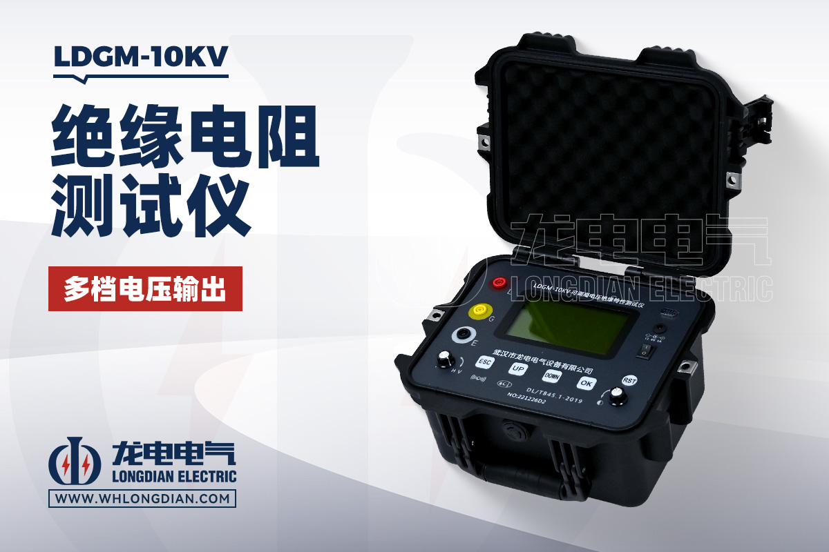 LDGM-10KV 绝缘电阻测试仪