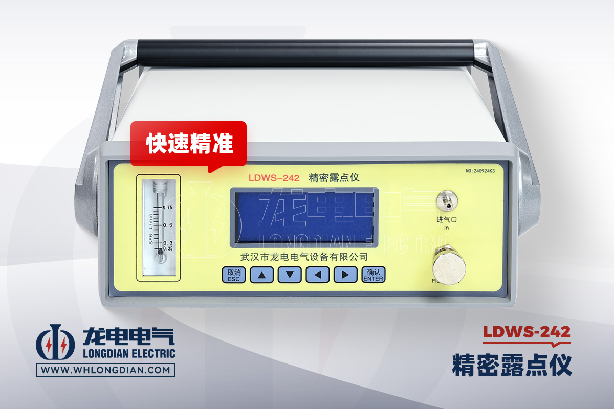 LDWS-242 露点仪